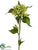 Campanula Spray - Green - Pack of 12