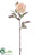 Dahlia Spray - Peach Mauve - Pack of 24