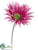 Gerbera Daisy Spray - Cerise - Pack of 12