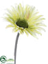 Silk Plants Direct Gerbera Daisy Spray - Green - Pack of 12