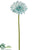 Gerbera Daisy Spray - Aqua Pearl - Pack of 12