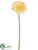 Gerbera Daisy Spray - Aqua Pearl Yellow Pearl - Pack of 12