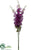 Delphinium Bundle - Purple - Pack of 12