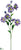 Dogwood Spray - Blue Purple - Pack of 6