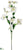 Dogwood Spray - Cream - Pack of 6