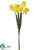 Daffodil Bundle - Yellow - Pack of 12