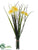 Daffodil Bundle - Yellow - Pack of 12