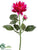 Dahlia Spray - Fuchsia Two Tone - Pack of 12