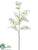 Dogwood Spray - White - Pack of 12