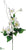 Dogwood Spray - White - Pack of 6