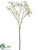 Dogwood Spray - White - Pack of 12