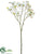 Dogwood Spray - White - Pack of 12