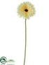 Silk Plants Direct Gerbera Daisy Spray - Cream - Pack of 24