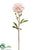 Dahlia Spray - Pink Soft - Pack of 12