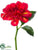 Dahlia Spray - Tomato Red - Pack of 24