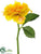 Dahlia Spray - Yellow Soft - Pack of 24