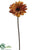 Tiger Print Gerbera Daisy Spray - Orange Brown - Pack of 12