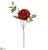 Dahlia Spray - Burgundy - Pack of 12