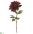 Dahlia Spray - Burgundy - Pack of 12