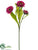 Daisy Spray - Fuchsia - Pack of 12