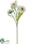 Daisy Spray - White - Pack of 12