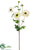 Daisy Spray - White - Pack of 12