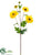 Daisy Spray - Yellow Gold - Pack of 12