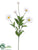 Daisy Spray - White - Pack of 12