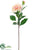 Dahlia Spray - Cream Pink - Pack of 12