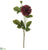 Dahlia Spray - Burgundy - Pack of 12