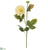 Dahlia Spray - Ivory - Pack of 12