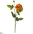 Dahlia Spray - Terra Cotta - Pack of 12