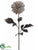 Zebra Print Dahlia Spray - Cream Black - Pack of 12