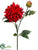 Dahlia Spray - Brick - Pack of 12