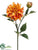 Dahlia Spray - Honey Coral - Pack of 12