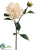 Dahlia Spray - Ivory - Pack of 12