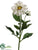 Dahlia Spray - White - Pack of 12