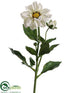 Silk Plants Direct Dahlia Spray - White - Pack of 12