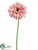 Gerbera Daisy Spray - Pink - Pack of 12