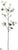 Dogwood Spray - White - Pack of 12