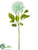 Dahlia Spray - Seafoam - Pack of 12