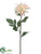 Dahlia Spray - Peach Cream - Pack of 12