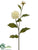 Dahlia Spray - White - Pack of 12