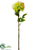 Dahlia Spray – Pink Lime - Pack of 12