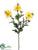 Shasta Daisy Spray - Yellow - Pack of 12