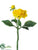 Dahlia Spray - Yellow - Pack of 24