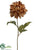 Dahlia Spray - Coffee - Pack of 12