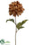 Dahlia Spray - Coffee - Pack of 12