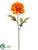 Dahlia Spray - Mustard Terra Cotta - Pack of 12