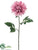 Dahlia Spray - Pink - Pack of 12